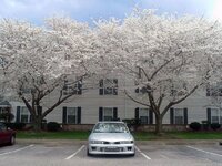 1998 Mitsubishi Galant VR-4