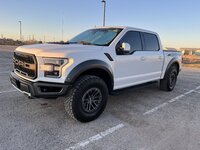 Raptor