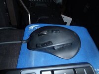 mouse.jpg